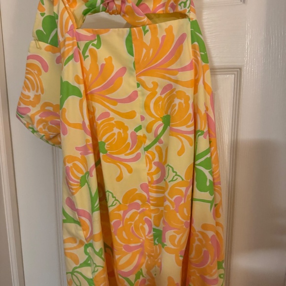 Lilly Pulitzer Size 8 Strapless Dress - Picture 3 of 7